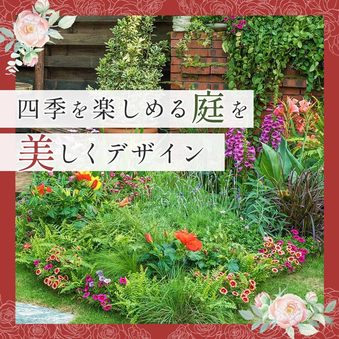 popup_banner
