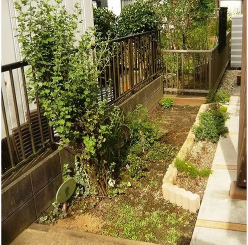 日陰のレイズドベッド